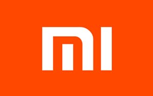 国产无套粉嫩白浆在线观看麻豆国产精品麻豆视频厂与小米成功案例